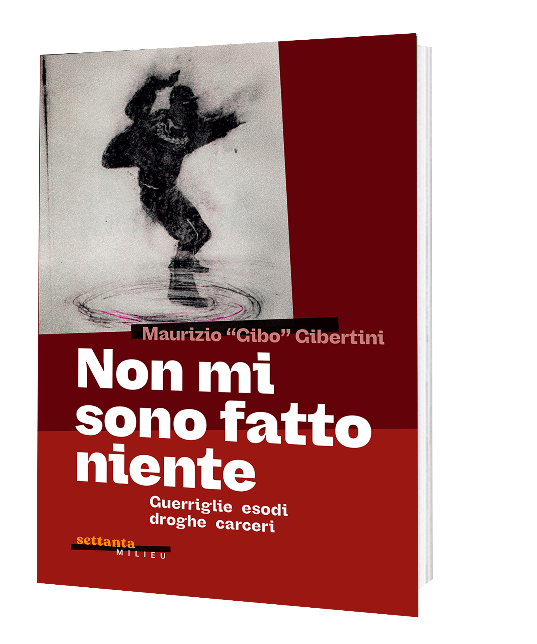 Maurizio Gibertini: Non mi sono fatto niente (italiano language, Mileu edizione)