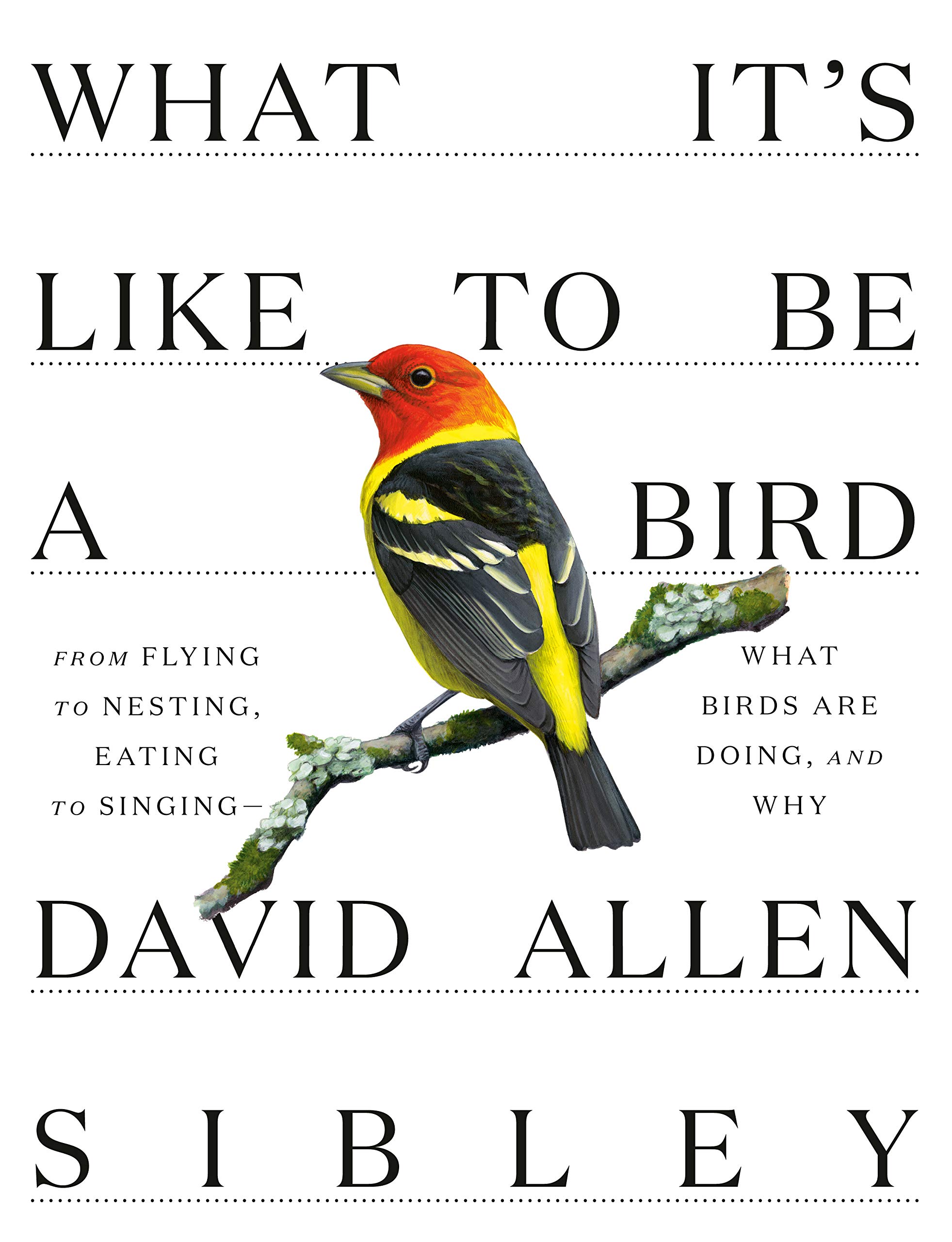 David Allen Sibley: What It's Like to Be a Bird (2020, Knopf Doubleday Publishing Group)